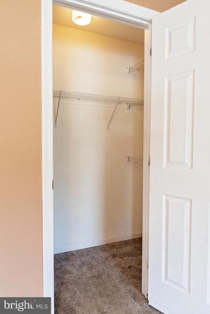 55 Burberry Lane photo 28