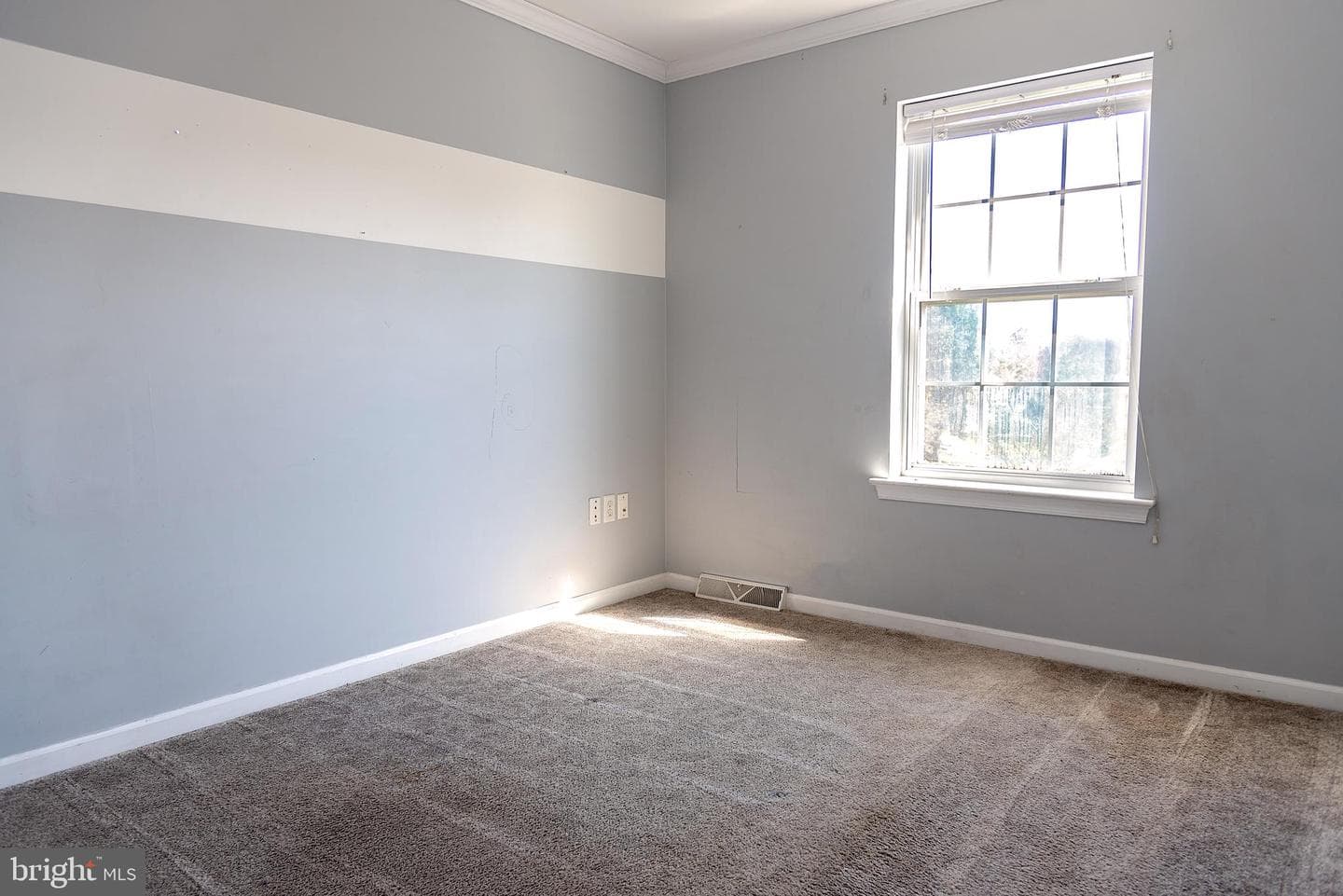 55 Burberry Lane photo 33