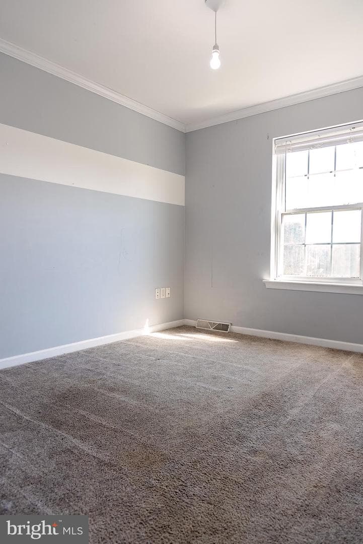 55 Burberry Lane photo 34