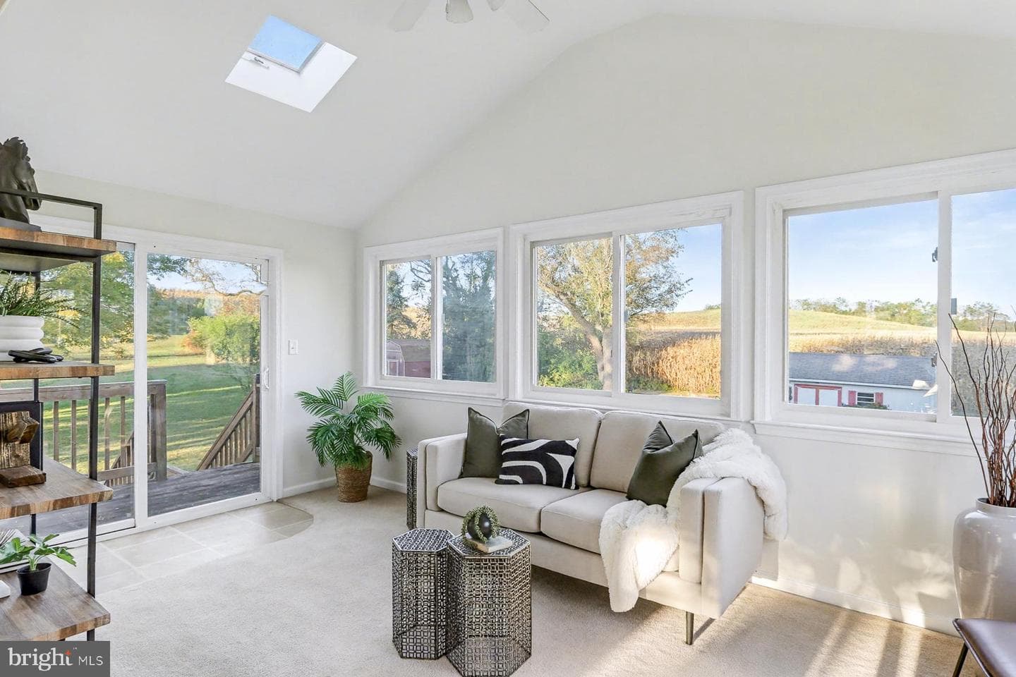 46 Maywood Road photo 16