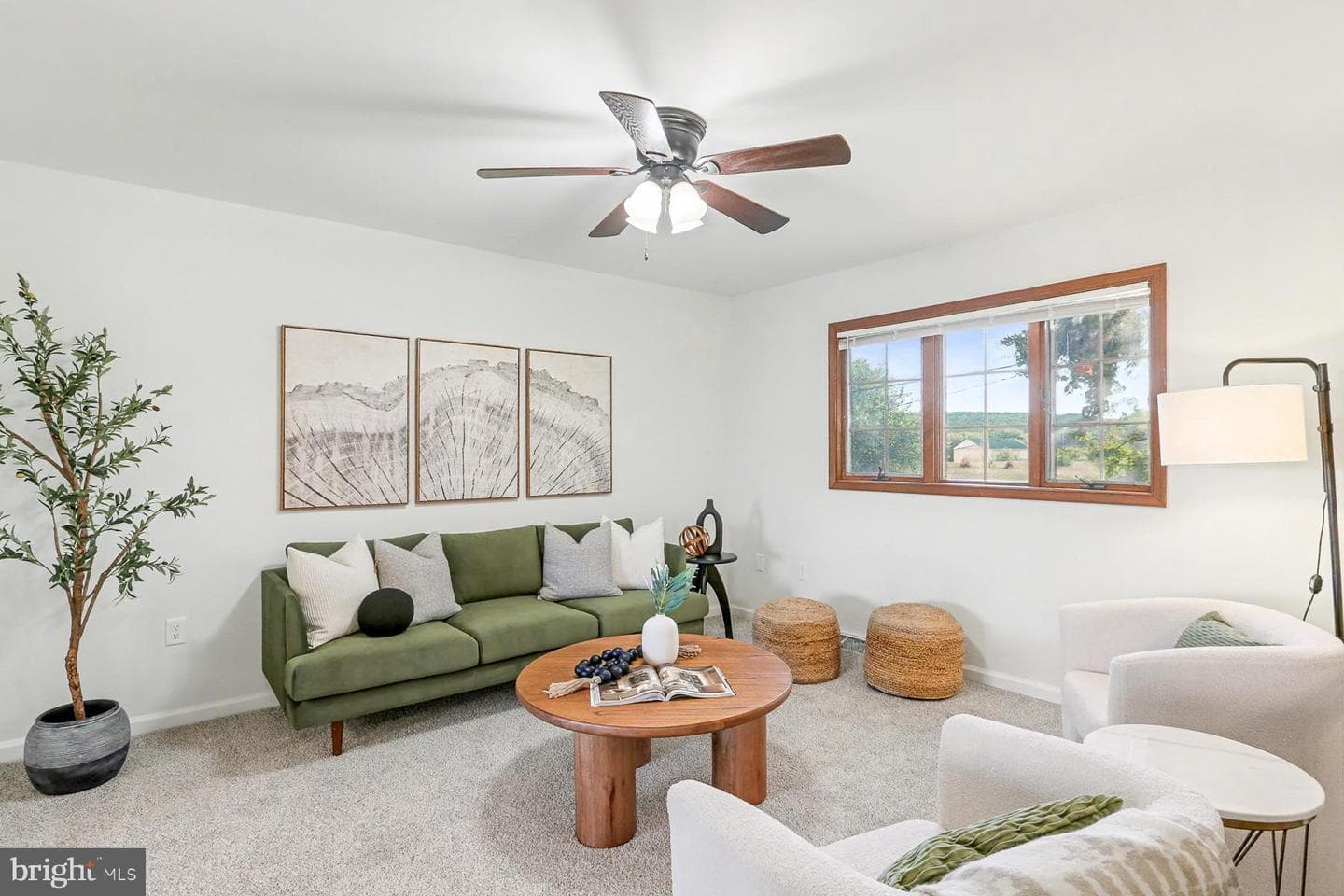 46 Maywood Road photo 5