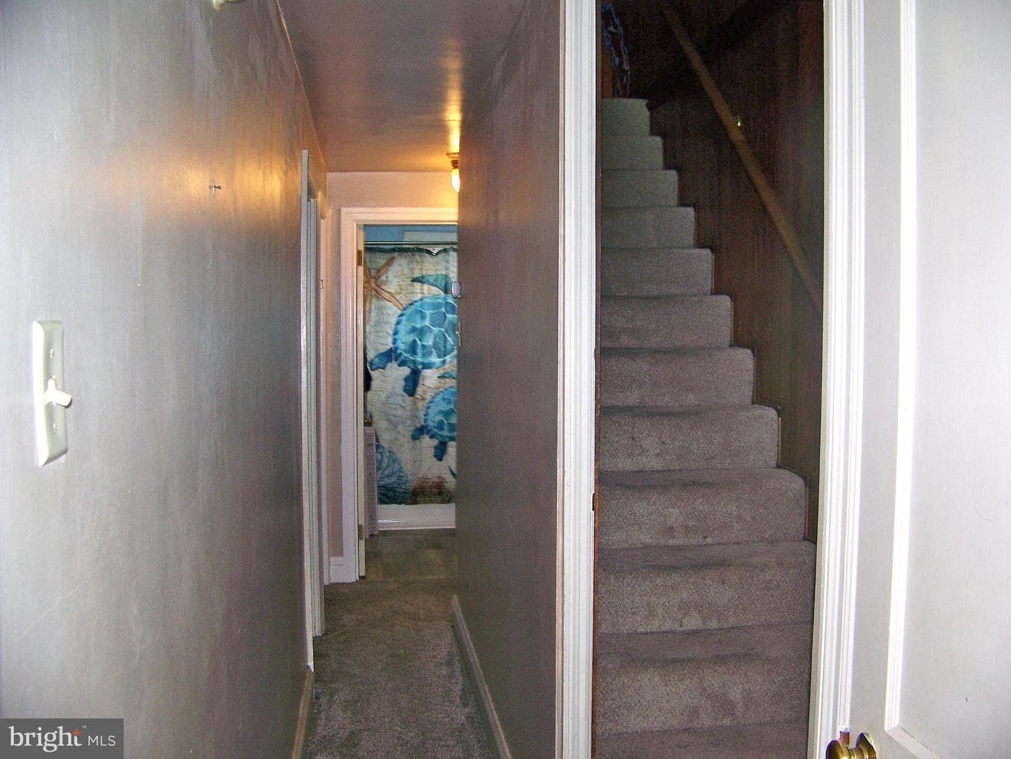 1562 Filbert Street photo 10