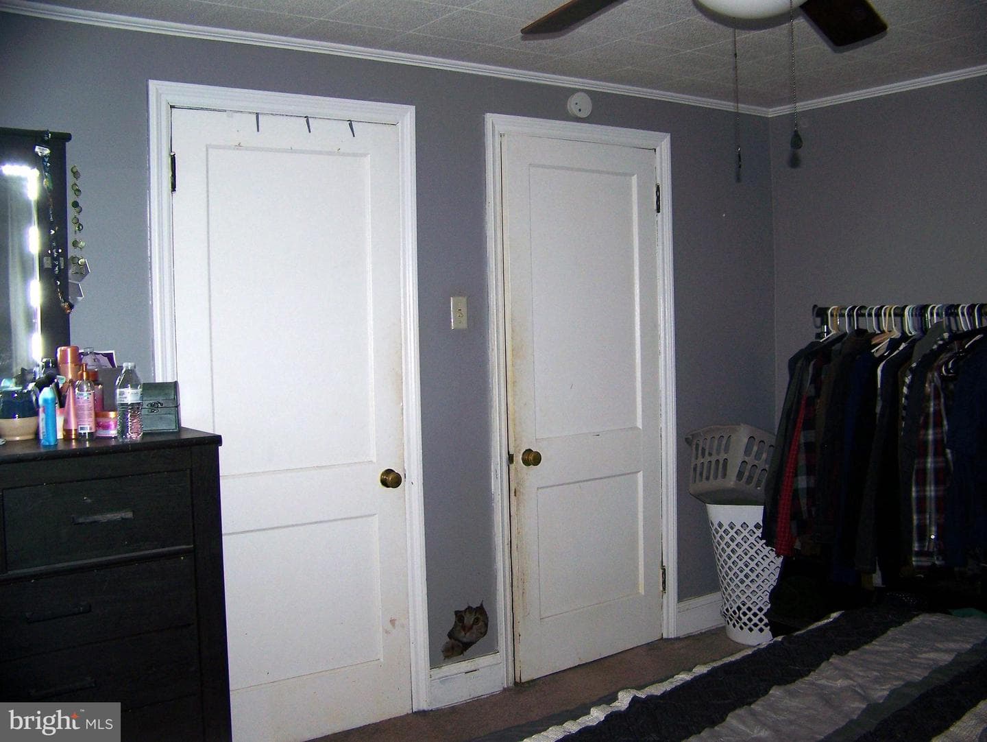 1562 Filbert Street photo 13