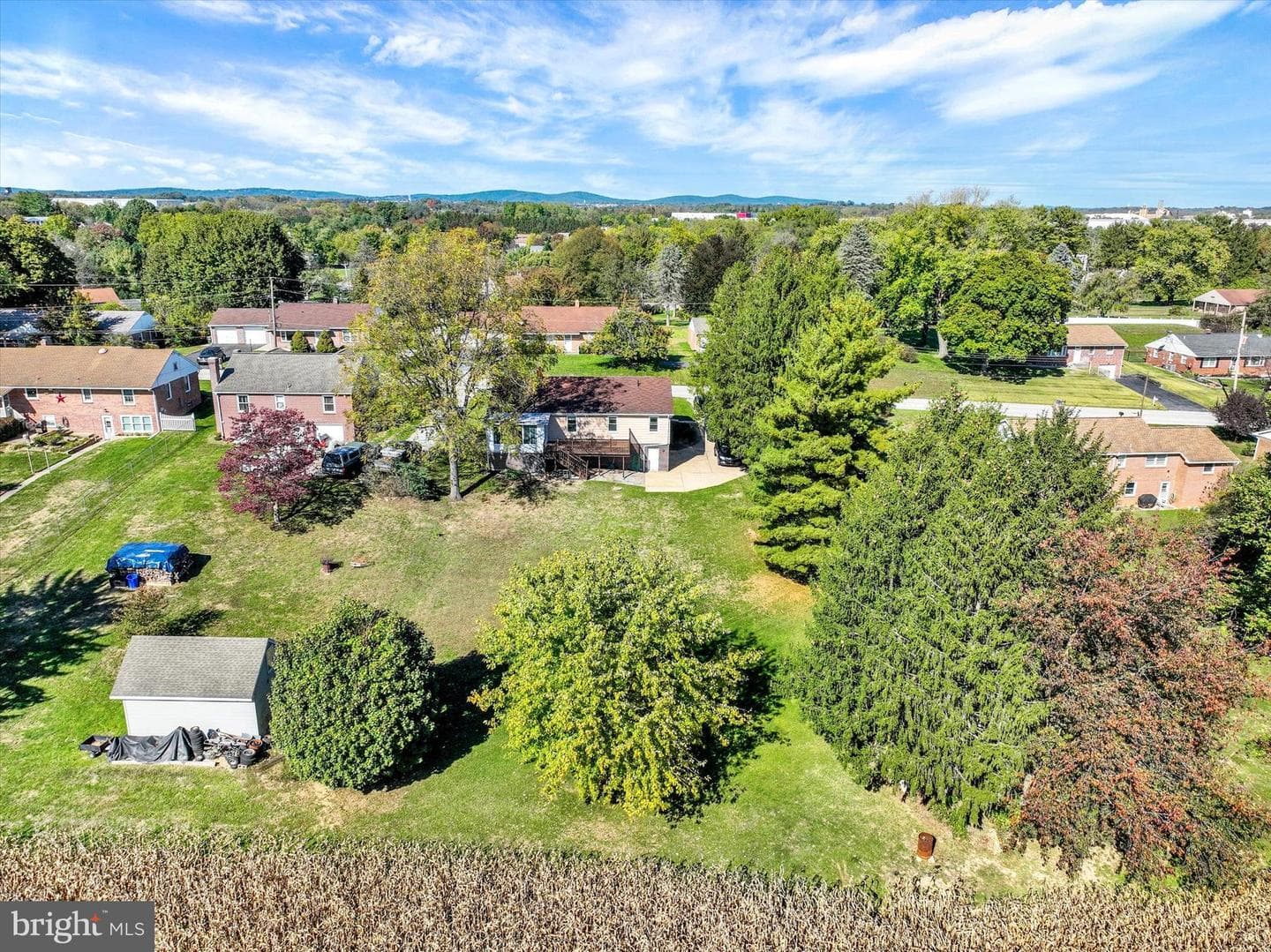 4650 Wolfs Church Road photo 12