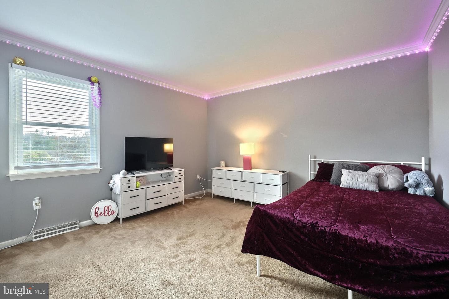 409 White Rose Lane photo 32