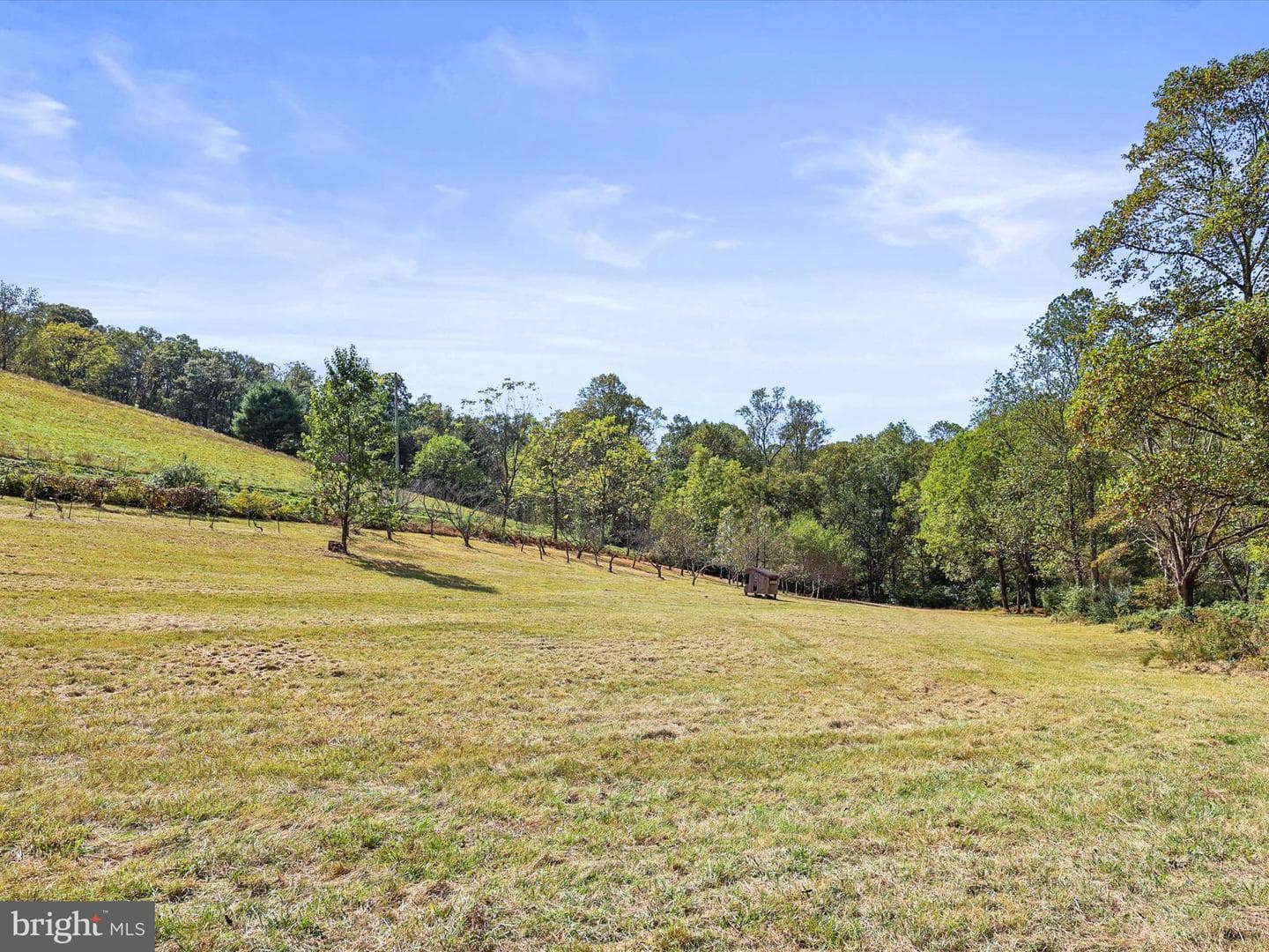 2122 W Springfield Road photo 15