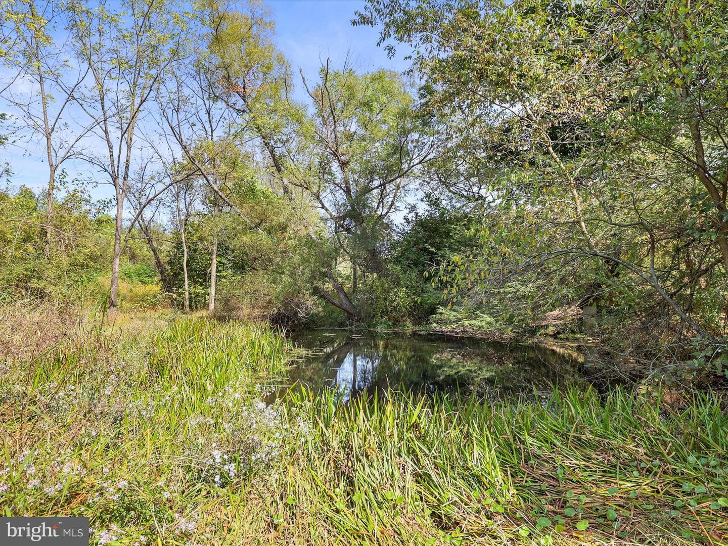 2122 W Springfield Road photo 19