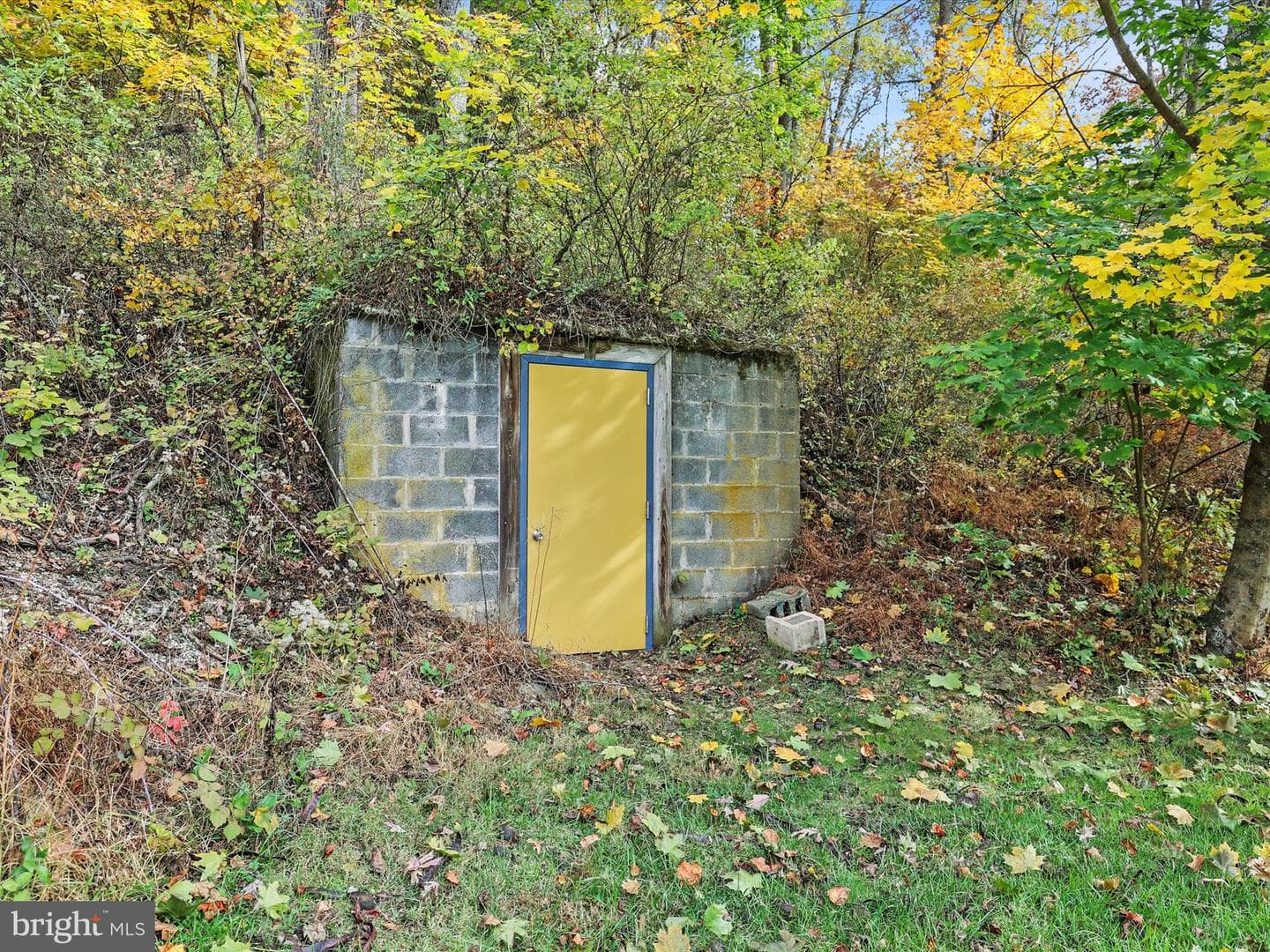 2122 W Springfield Road photo 59