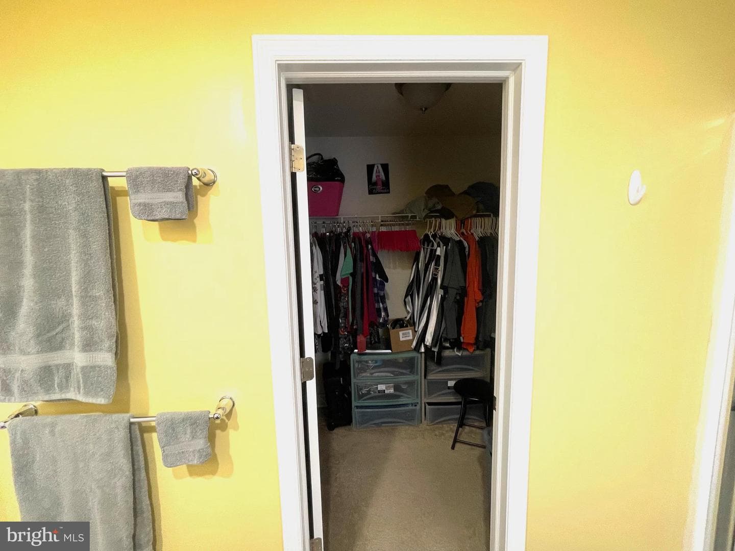 20 Crabapple Drive photo 41
