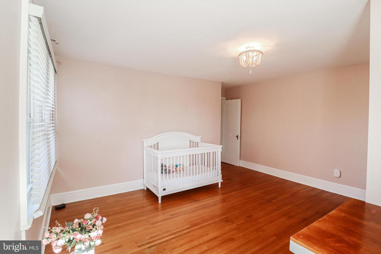 31 N Manheim Street photo 17