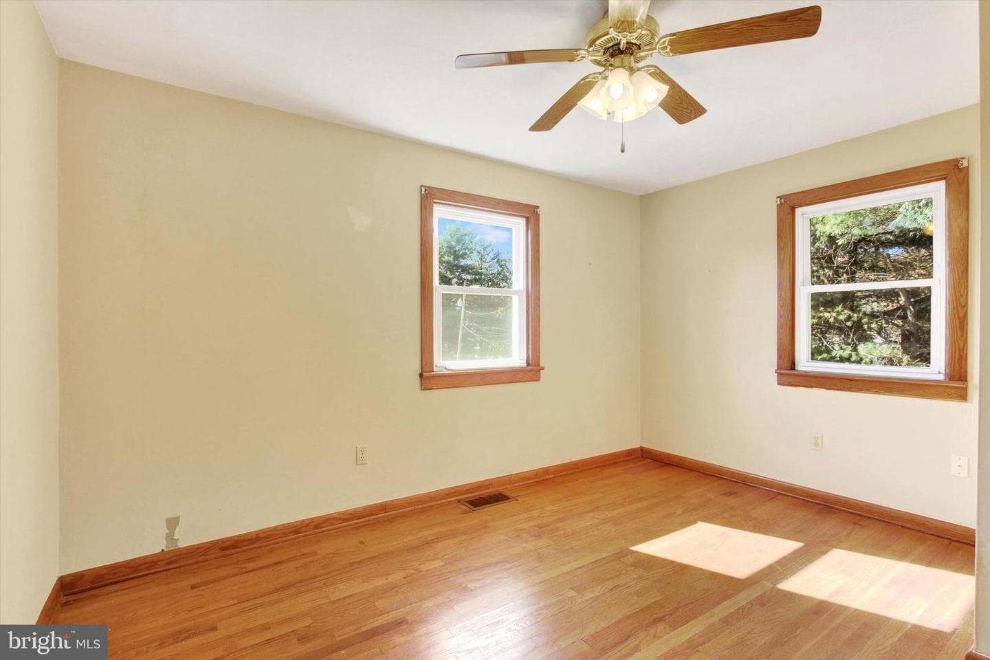 6674 Steltz Road photo 3