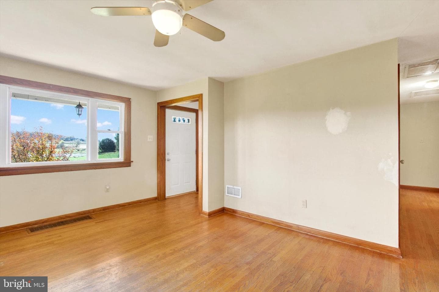 6674 Steltz Road photo 7
