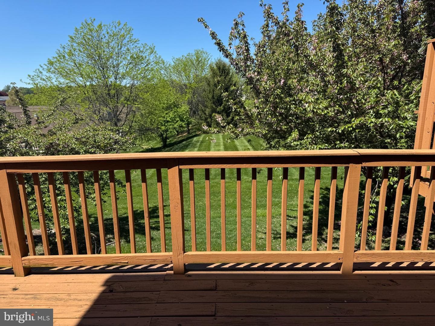 229 Wheatfield Way #76c photo 5