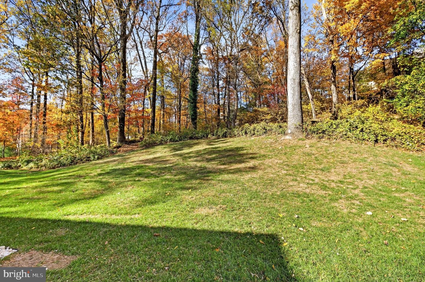 3689 Sorrel Ridge Lane photo 45