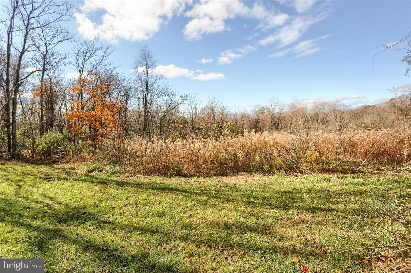 1540 Baltimore Road photo 48