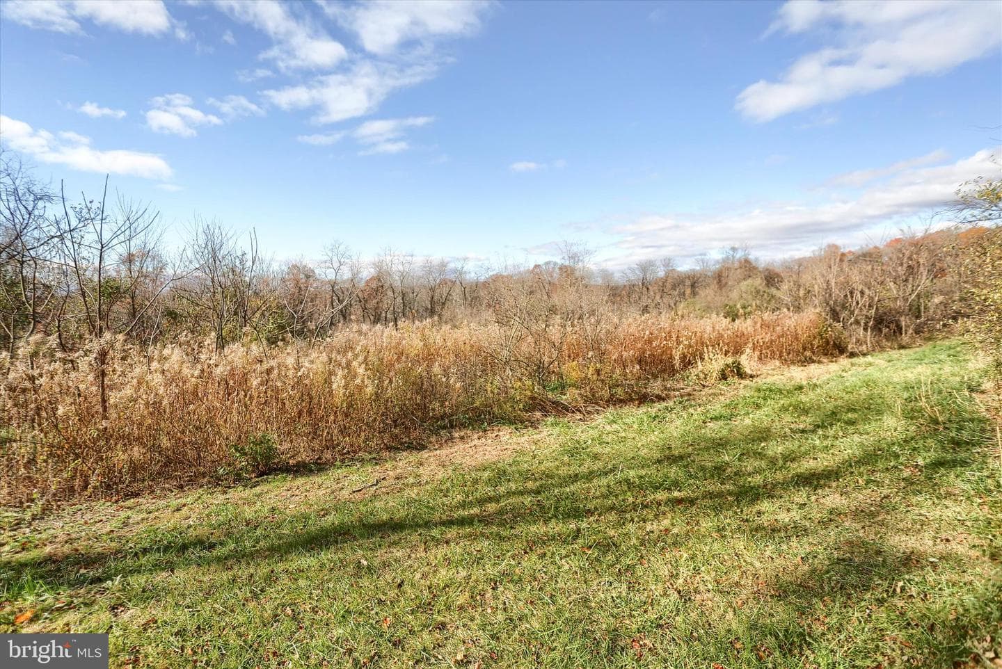 1540 Baltimore Road photo 49
