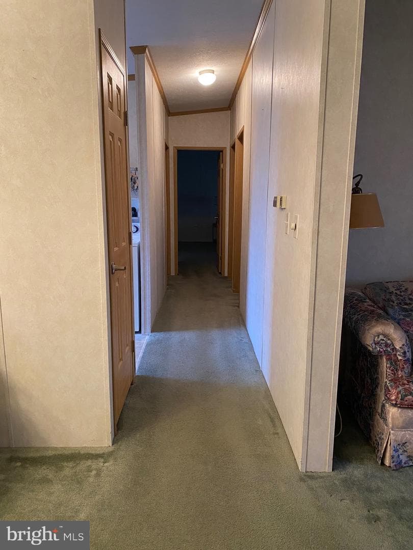 27 E Broadway photo 22