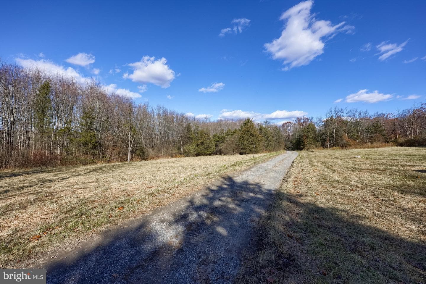 7765 Harmony Grove Road photo 14