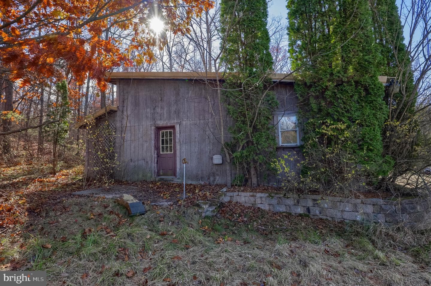 7765 Harmony Grove Road photo 19