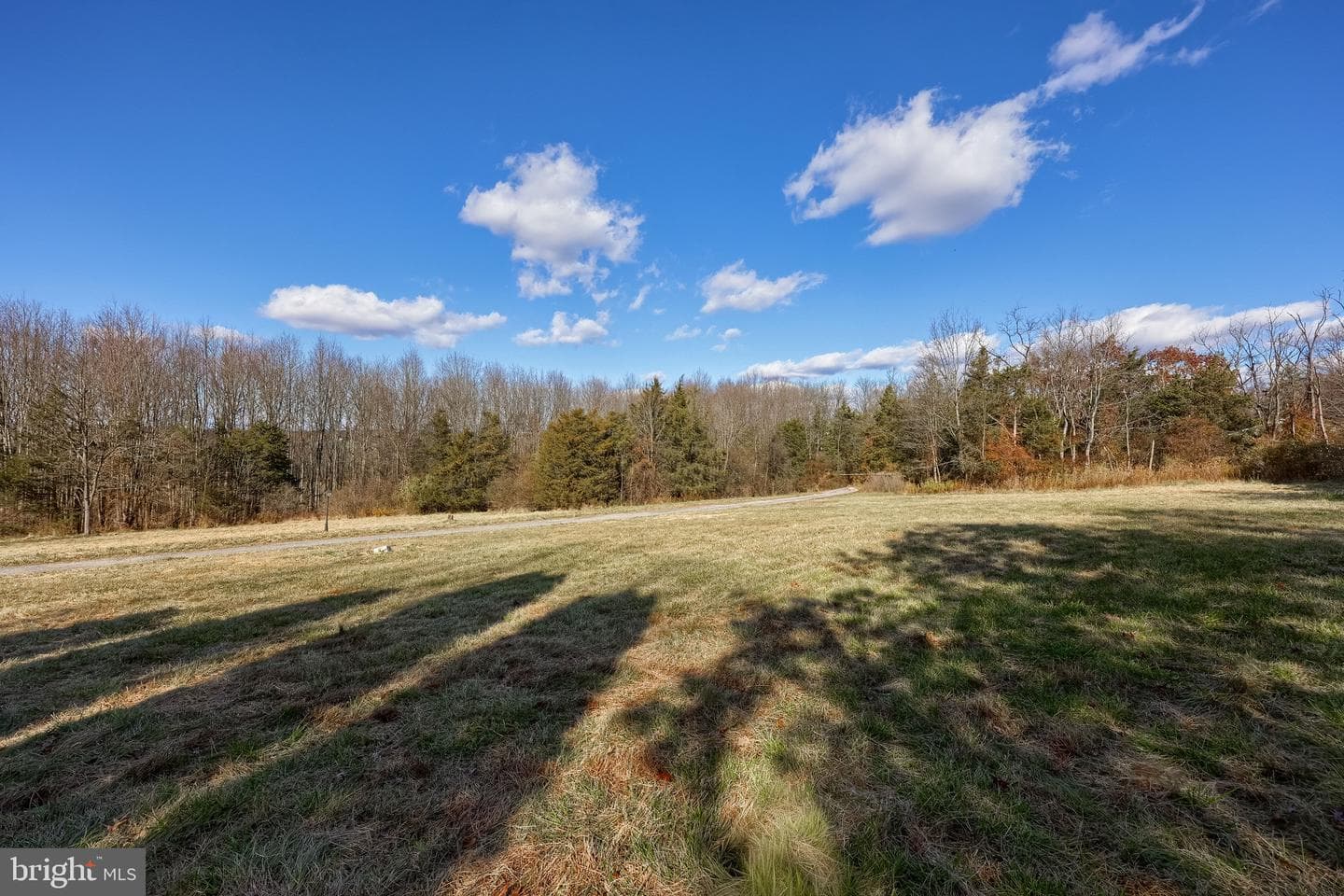 7765 Harmony Grove Road photo 20
