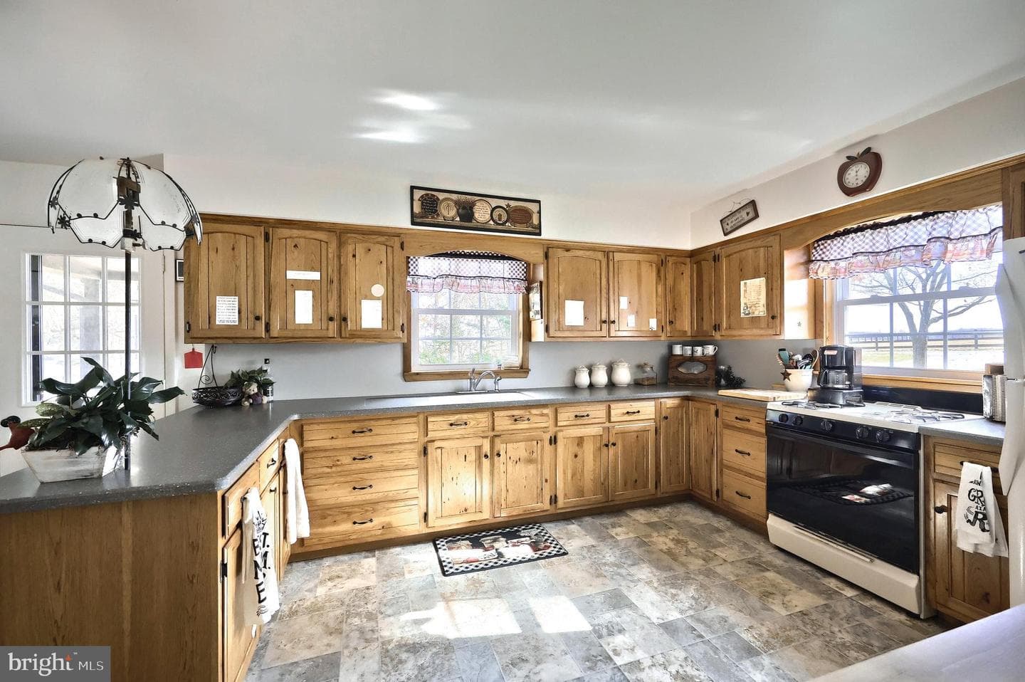 798 Goram Road photo 28