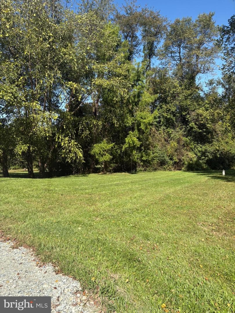 387 Garvine Mill Road photo 59