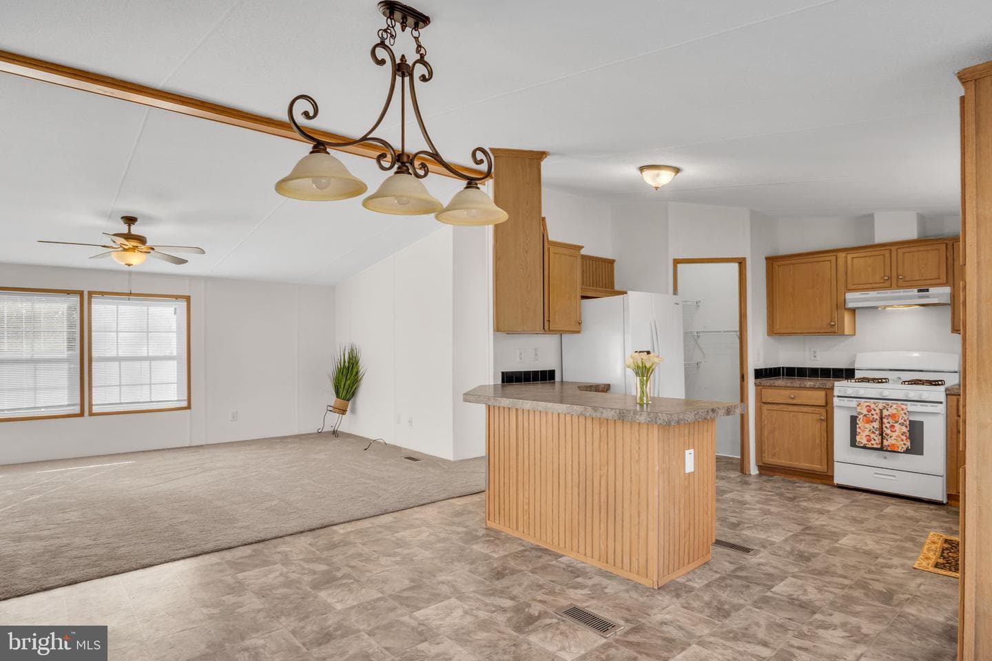 11 Tyler Drive photo 23