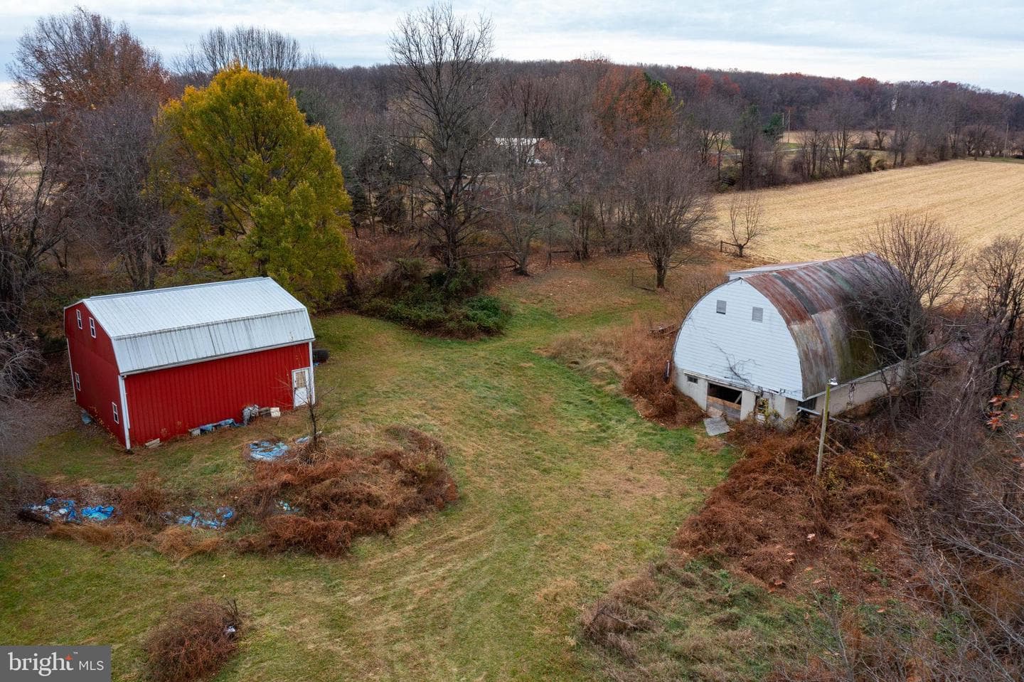 1406 Richmond Road photo 30