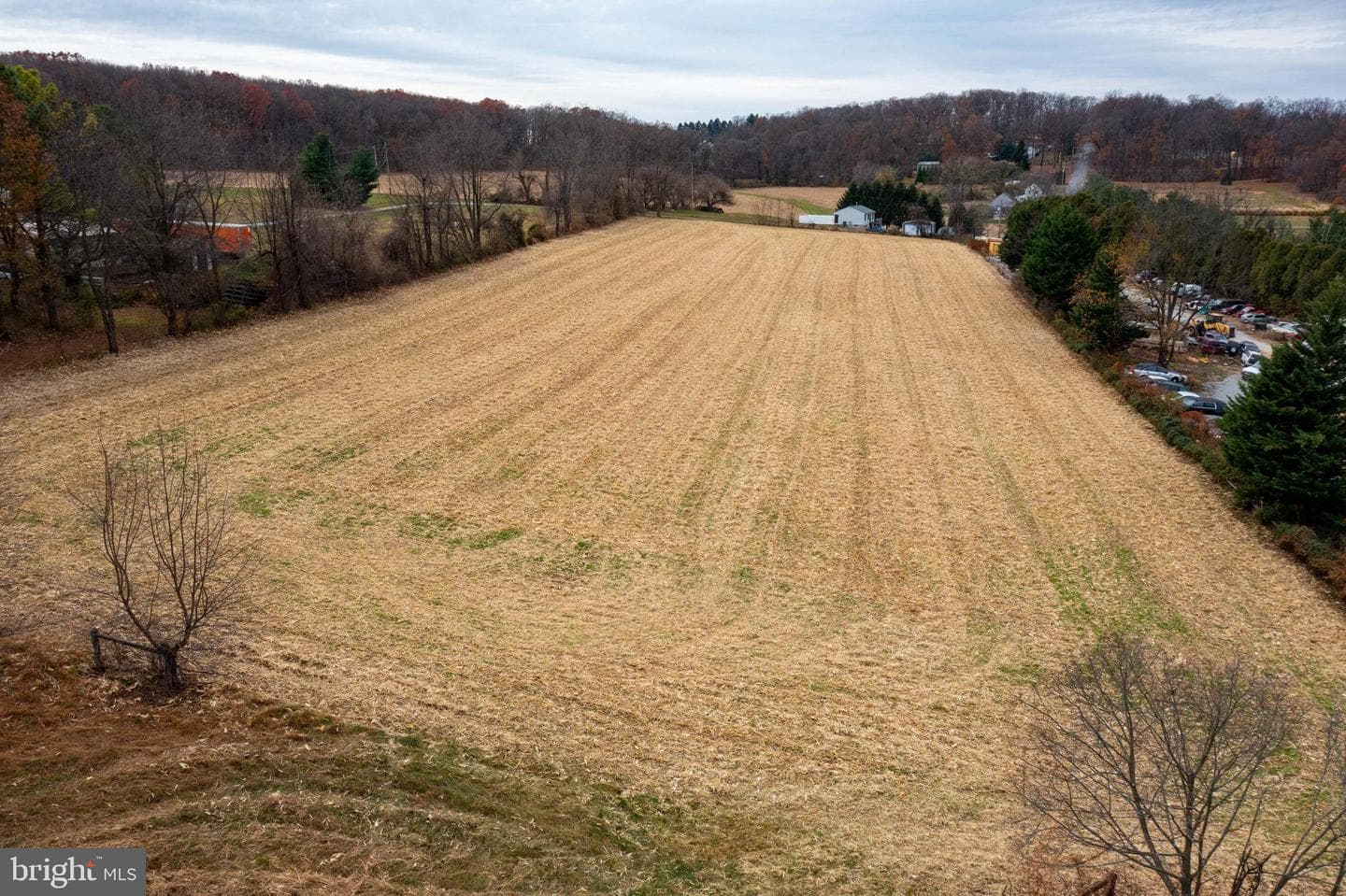 1406 Richmond Road photo 34