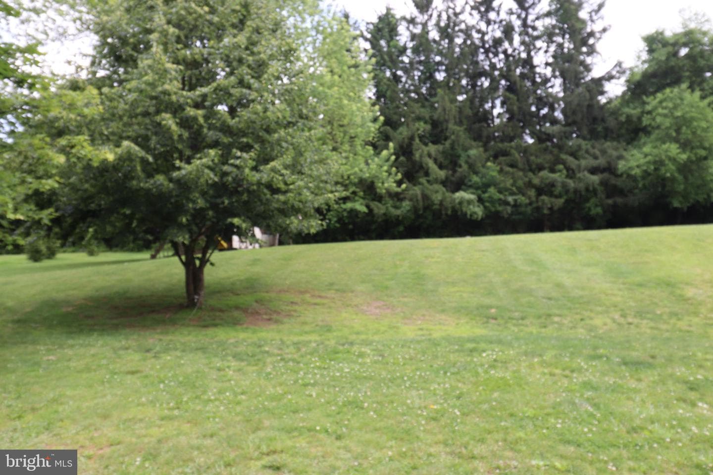 49 Valley View Drive photo 6