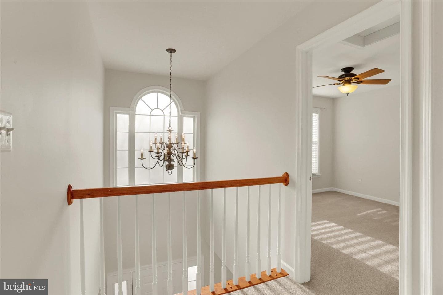 101 Hearthstone Court photo 22