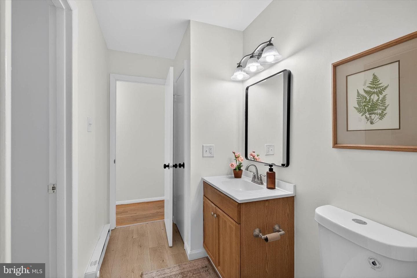 25 Black Walnut Drive photo 26