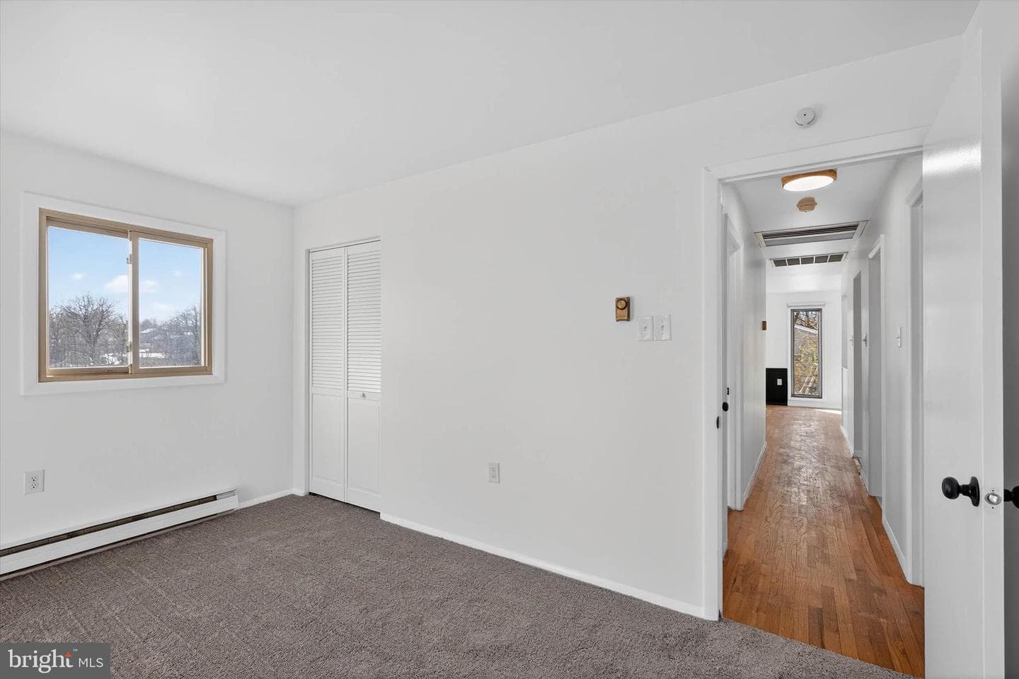 25 Black Walnut Drive photo 28