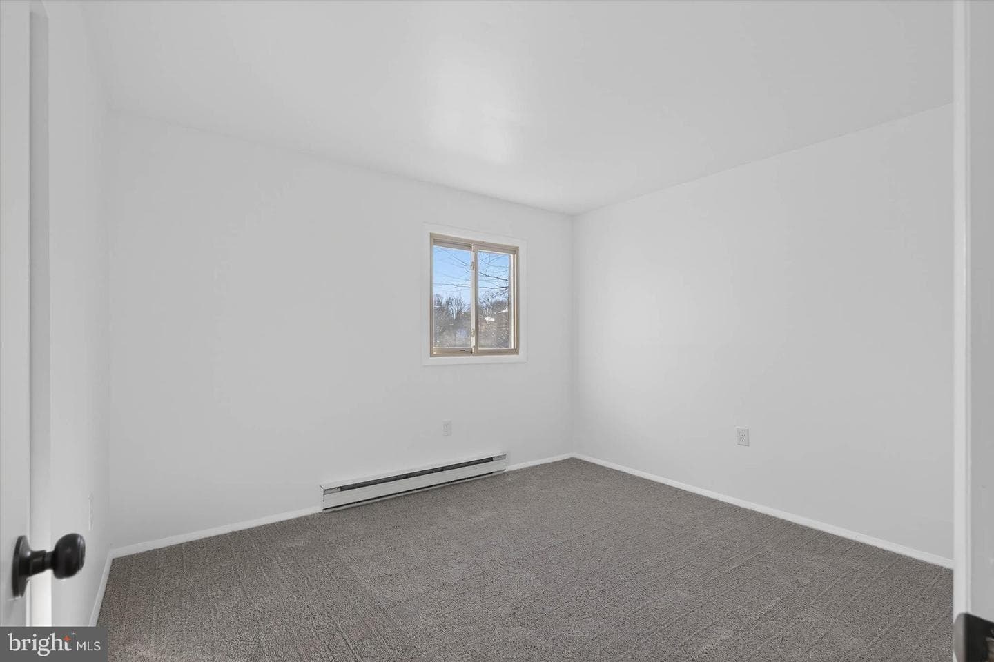 25 Black Walnut Drive photo 31