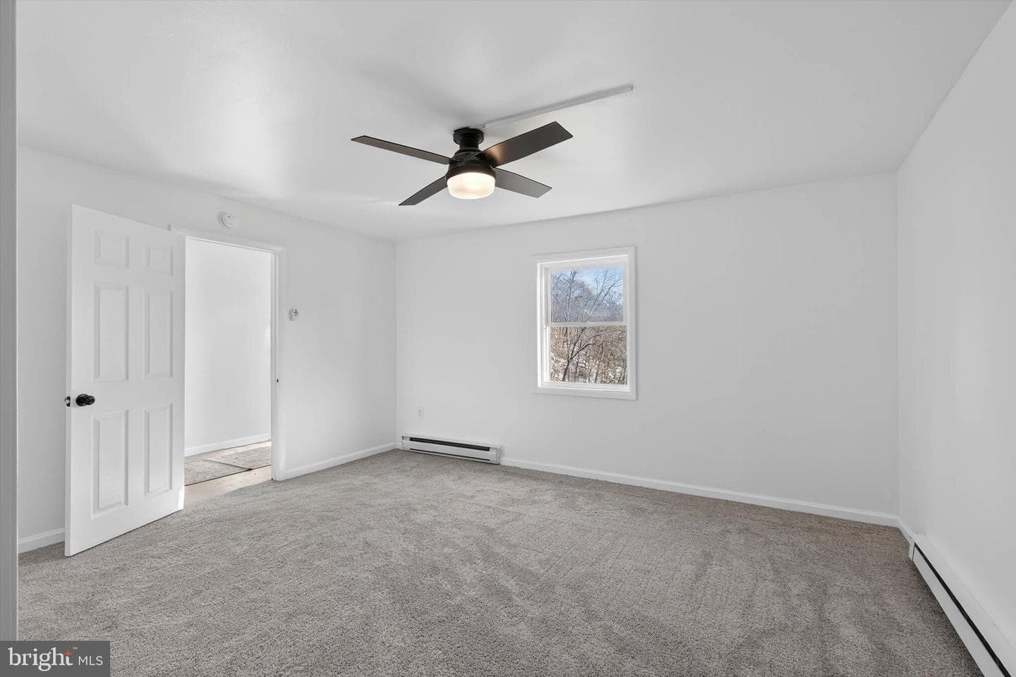 25 Black Walnut Drive photo 34