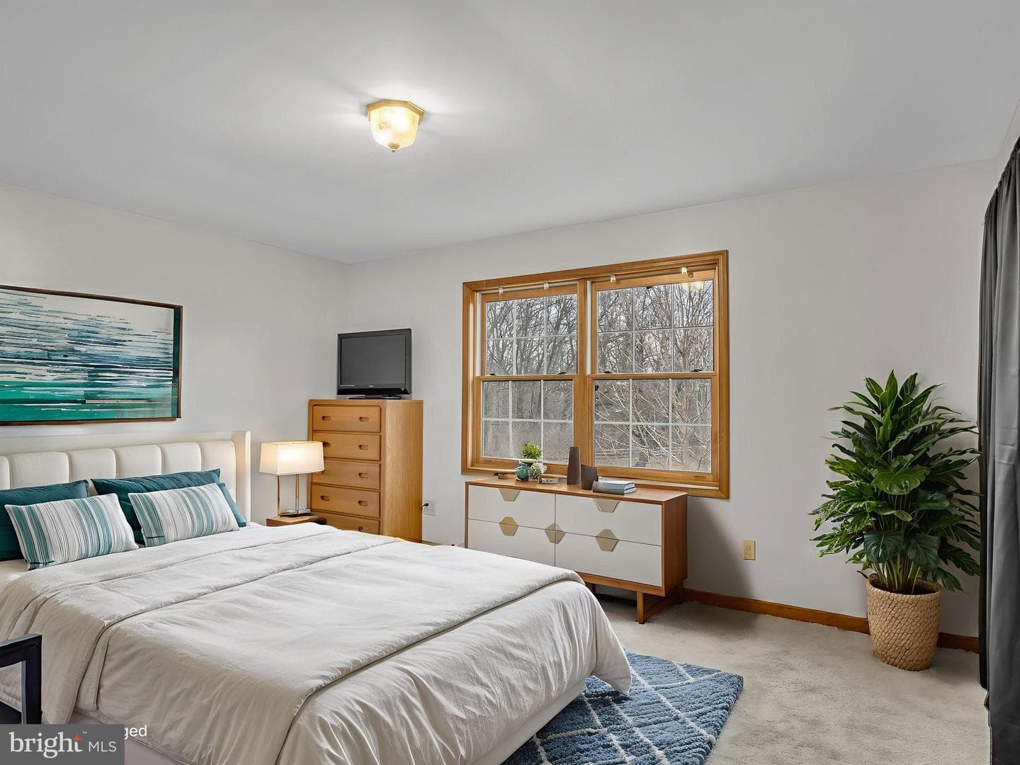 7 Clear Springs Road photo 49