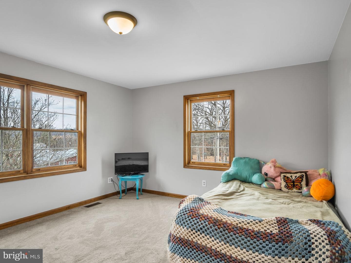 7 Clear Springs Road photo 53