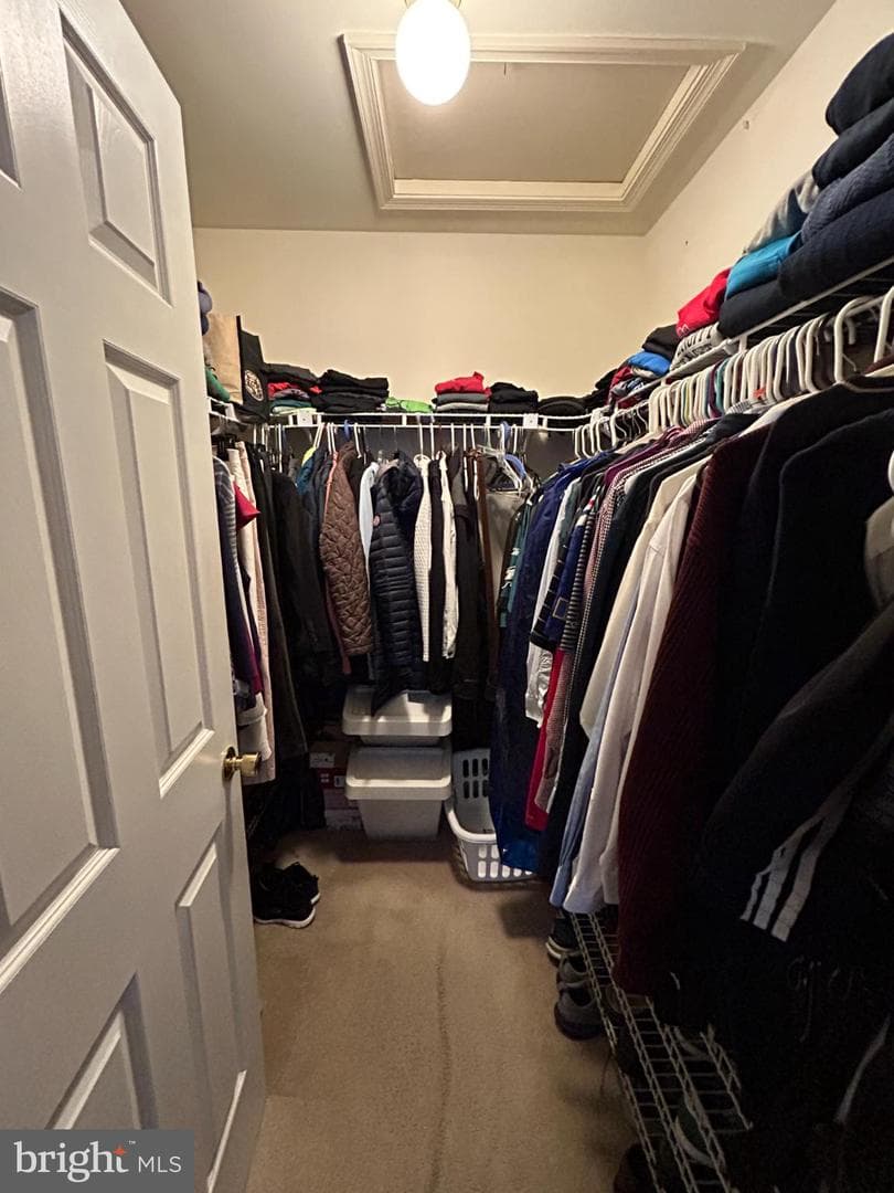 55 Jean Lo Way photo 25
