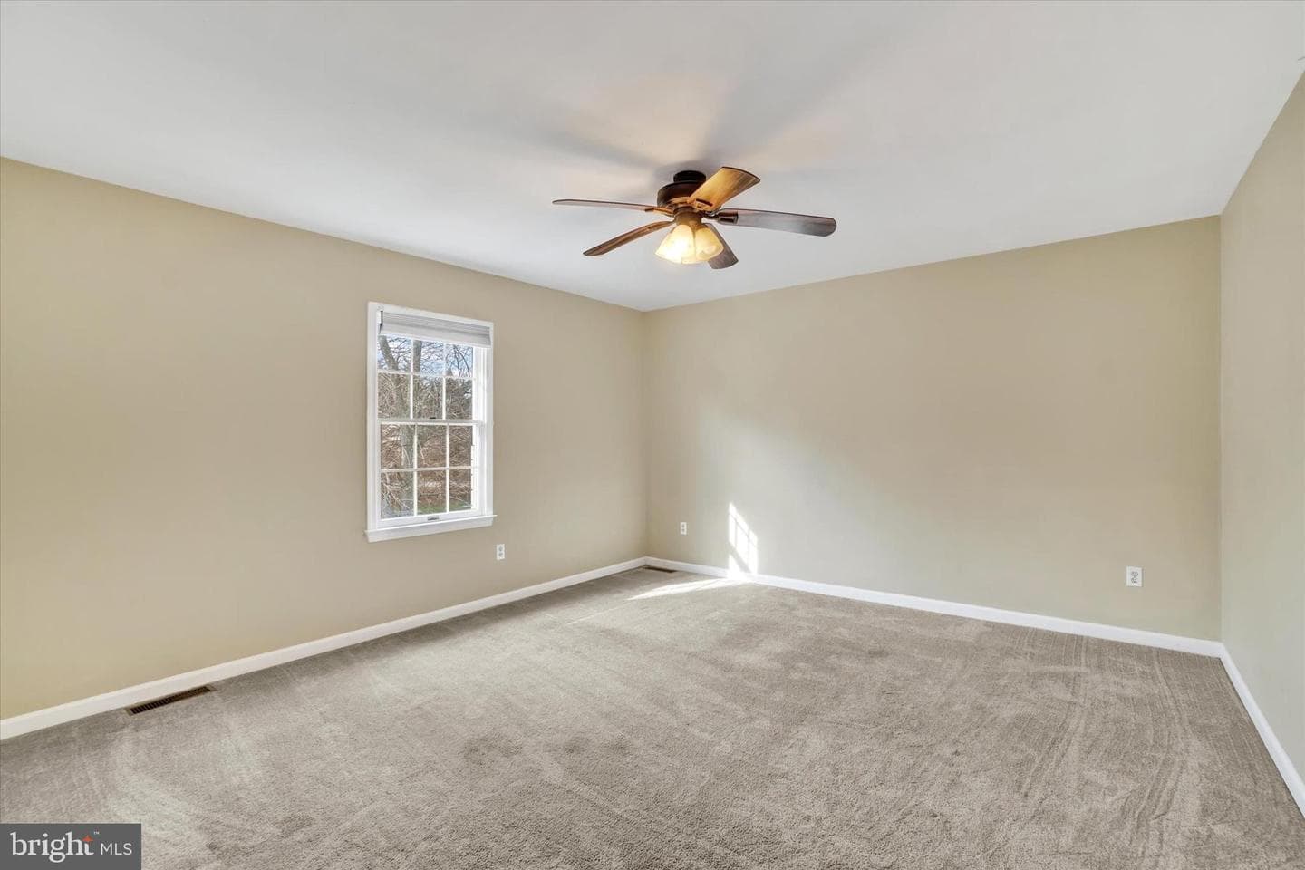 3 Harrison Road photo 15