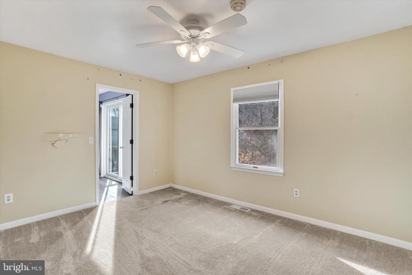 3 Harrison Road photo 19