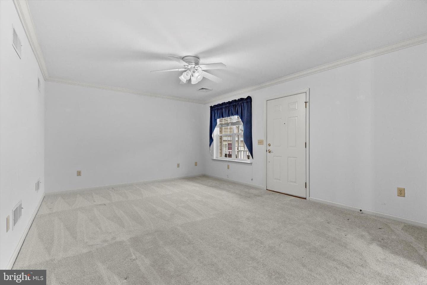 218 Equine Cove photo 5