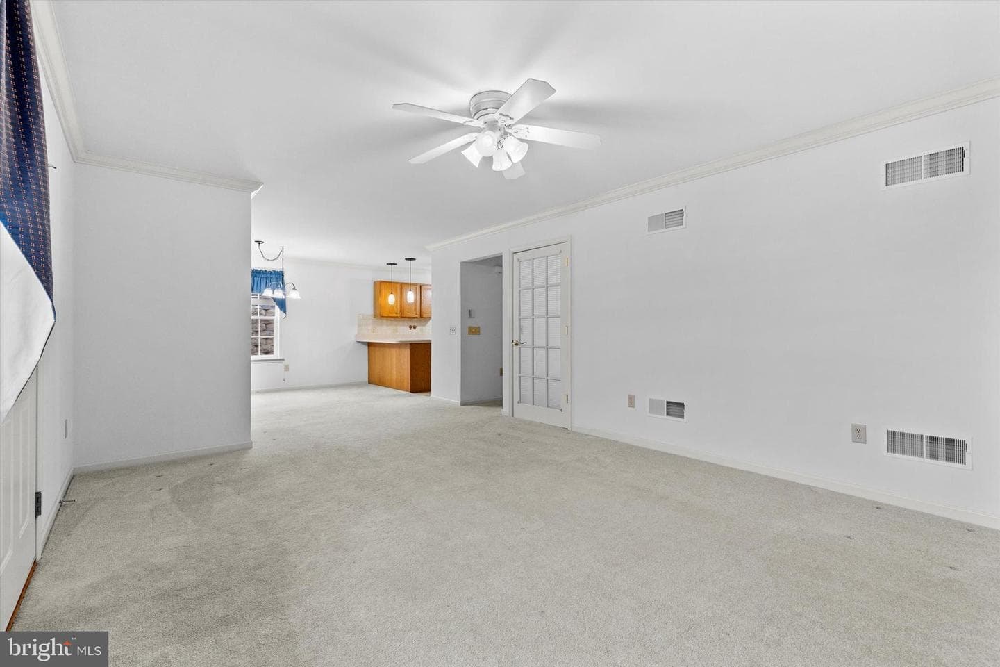 218 Equine Cove photo 6
