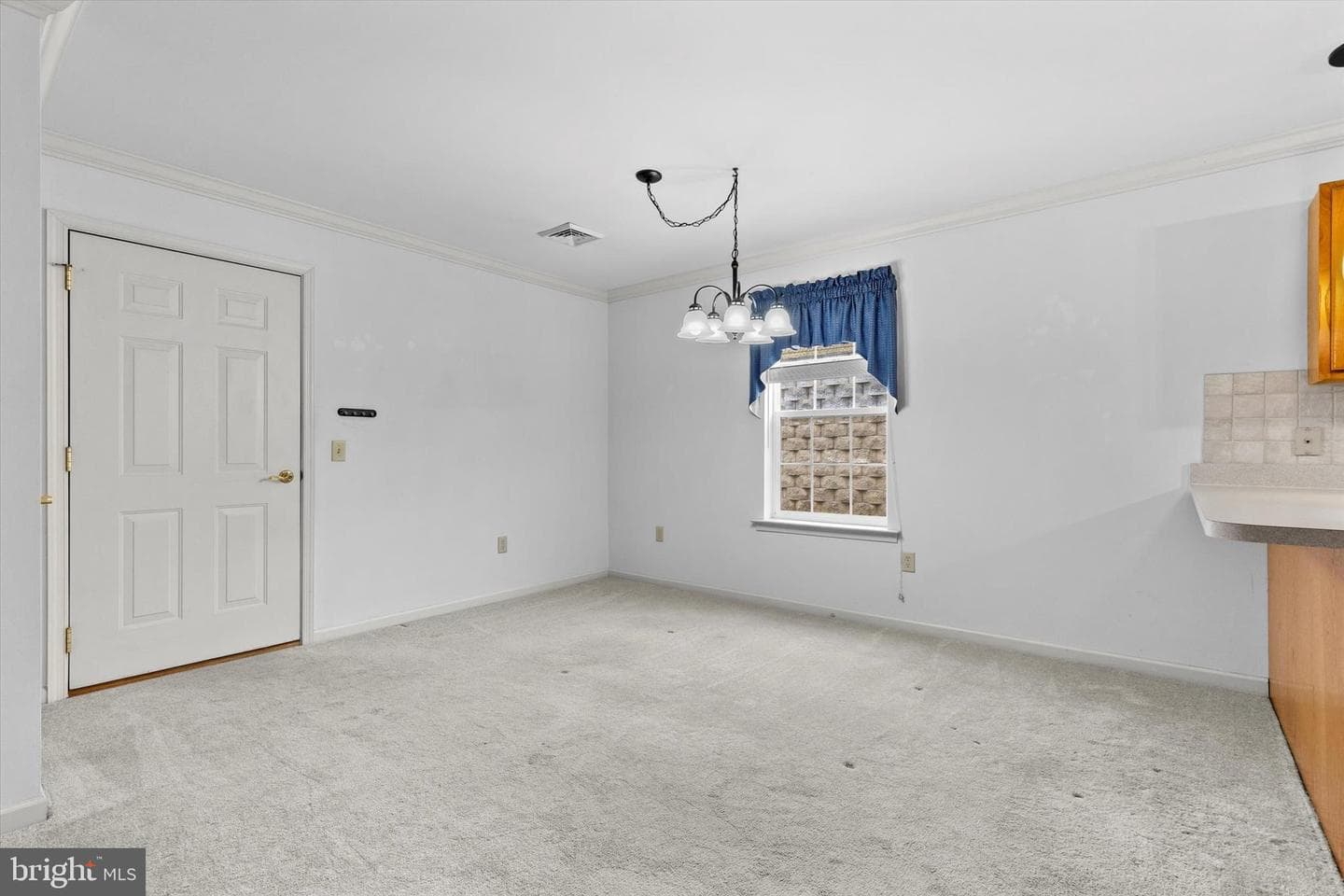 218 Equine Cove photo 7