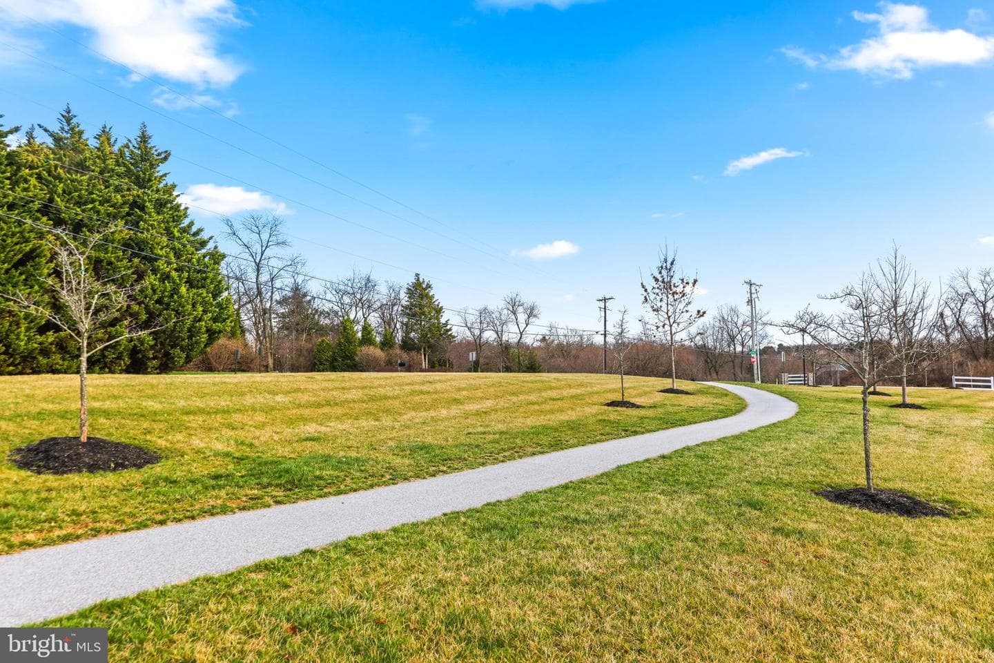 64 Holstein Drive photo 42