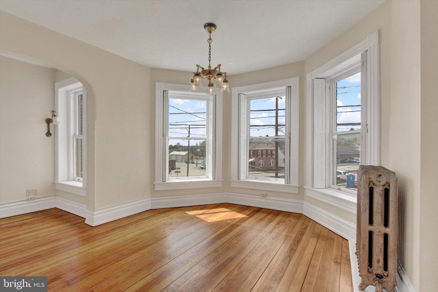407 Carlisle Street photo 19