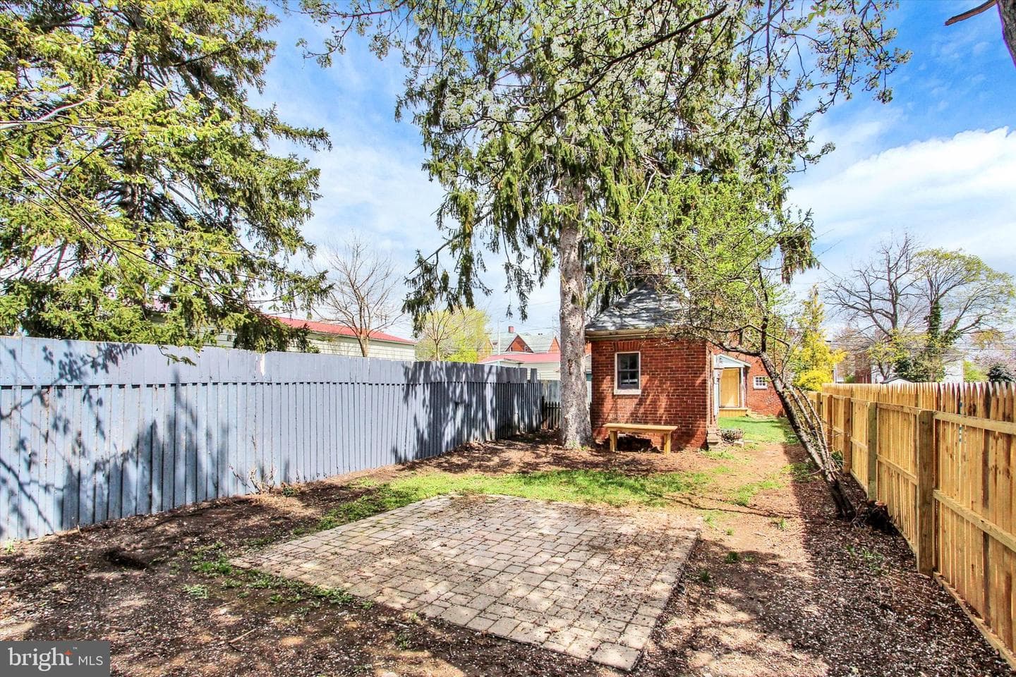 407 Carlisle Street photo 34