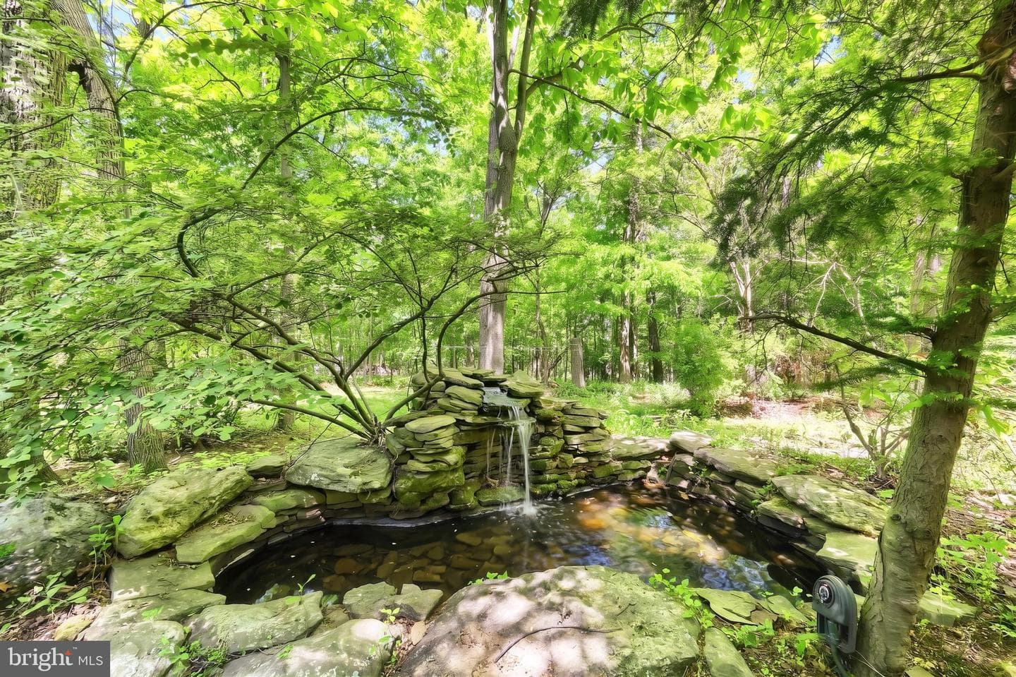 4275 Evergreen Road photo 13