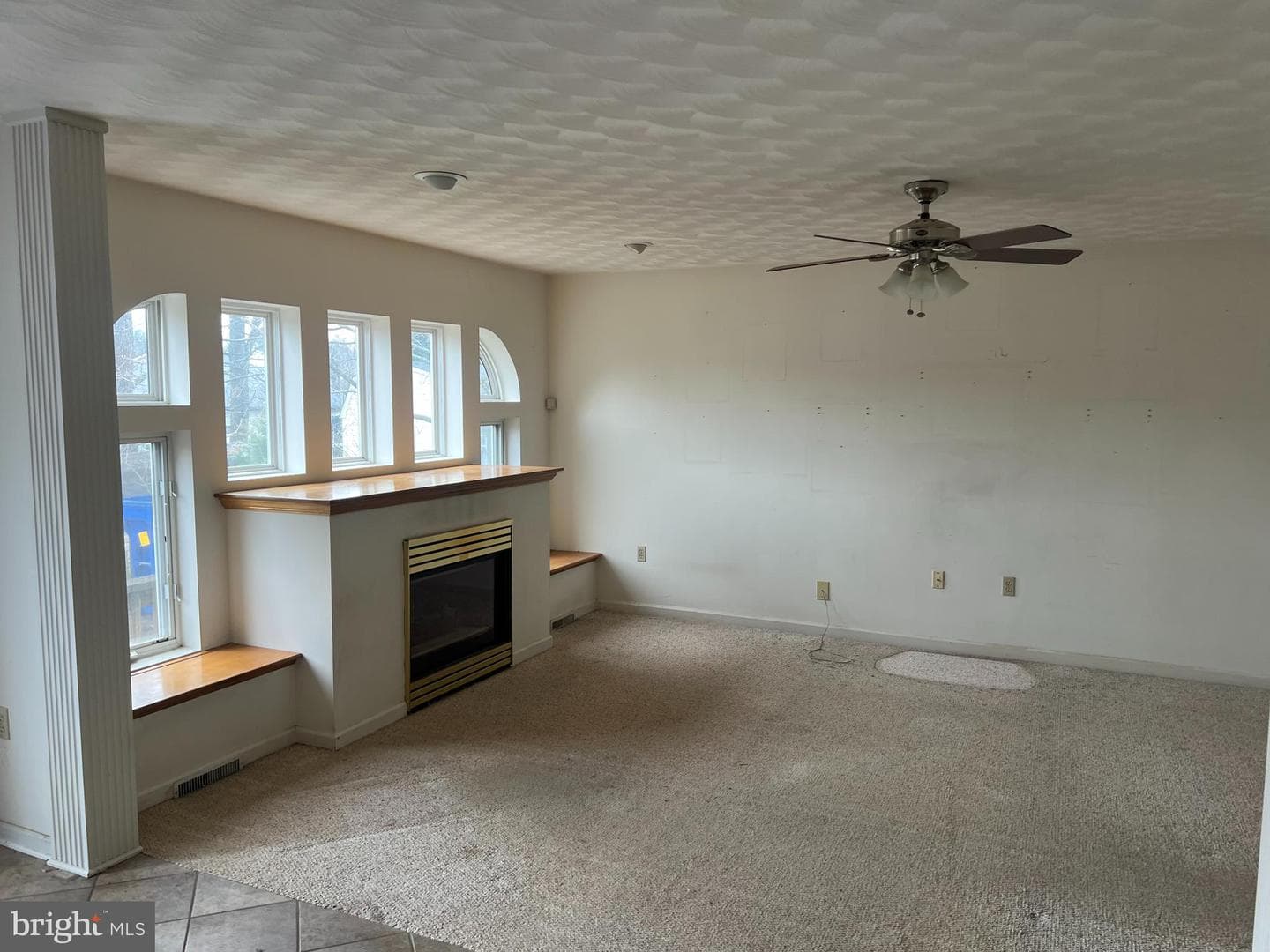 206 Hall Drive photo 6
