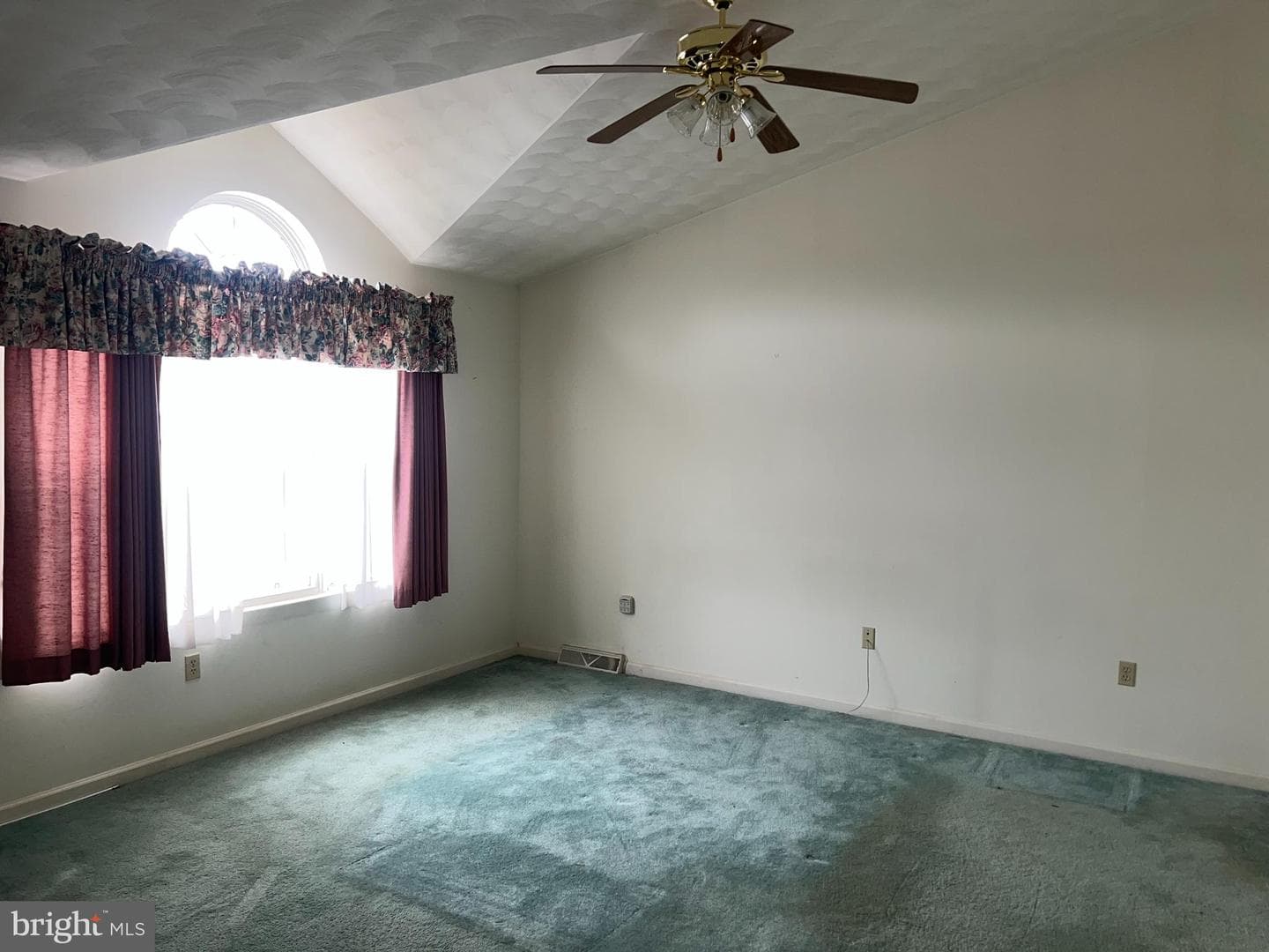 206 Hall Drive photo 7