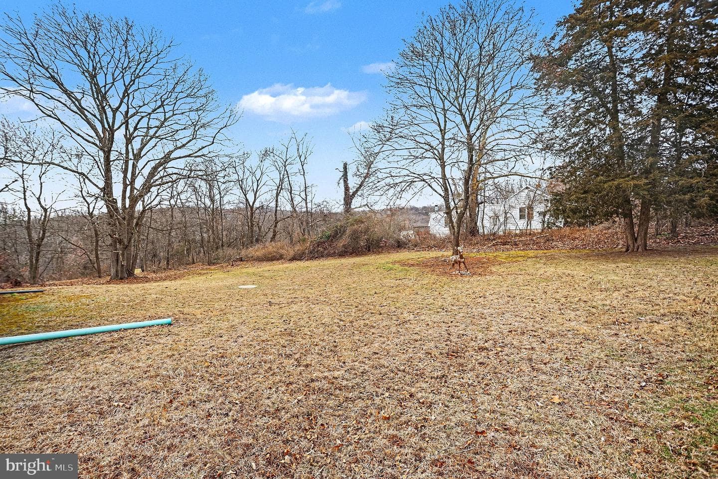 5010 Bull Road photo 35